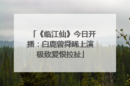 《临江仙》今日开播：白鹿曾舜晞上演极致爱恨拉扯