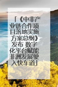 《中非产业链合作项目落地实施方案总纲》发布 数字化平台赋能非洲发展驶入快车道