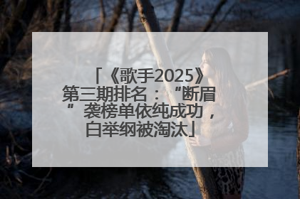 《歌手2025》第三期排名：“断眉”袭榜单依纯成功，白举纲被淘汰