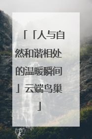 「人与自然和谐相处的温暖瞬间」云端鸟巢