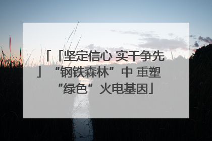 「坚定信心 实干争先」“钢铁森林”中 重塑“绿色”火电基因