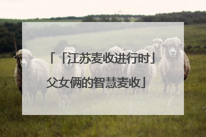 「江苏麦收进行时」父女俩的智慧麦收