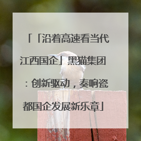 「沿着高速看当代江西国企」黑猫集团：创新驱动，奏响瓷都国企发展新乐章