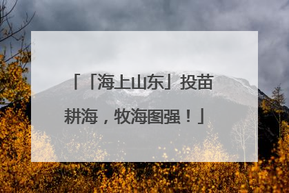 「海上山东」投苗耕海，牧海图强！