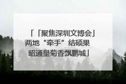 「聚焦深圳文博会」两地“牵手”结硕果 昭通皇菊香飘鹏城