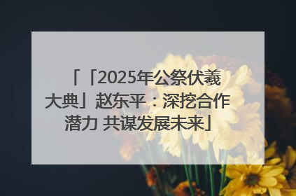 「2025年公祭伏羲大典」赵东平：深挖合作潜力 共谋发展未来