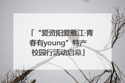 “爱资阳爱雁江·青春有young”特产校园行活动启幕