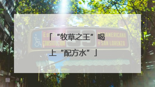 “牧草之王”喝上“配方水”