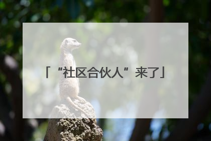 “社区合伙人”来了