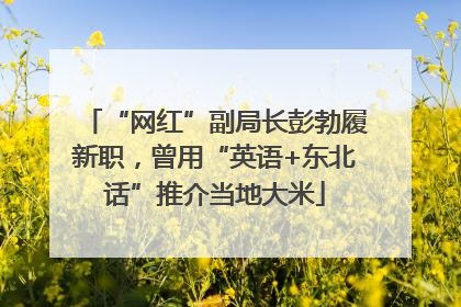 “网红”副局长彭勃履新职，曾用“英语+东北话”推介当地大米