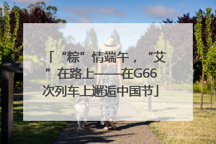 “粽”情端午，“艾”在路上——在G66次列车上邂逅中国节