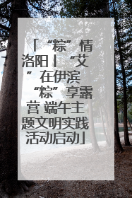 “粽”情洛阳丨“艾”在伊滨 “粽”享露营 端午主题文明实践活动启动