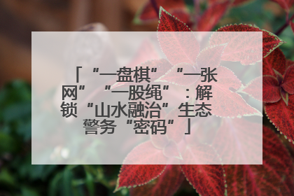 “一盘棋”“一张网”“一股绳”：解锁“山水融治”生态警务“密码”