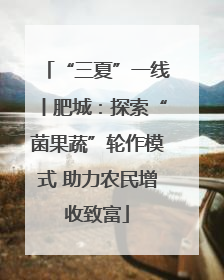 “三夏”一线丨肥城：探索“菌果蔬”轮作模式 助力农民增收致富