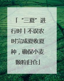 “三夏”进行时丨不误农时完成夏收夏种，确保小麦颗粒归仓