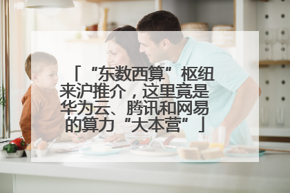 “东数西算”枢纽来沪推介，这里竟是华为云、腾讯和网易的算力“大本营”