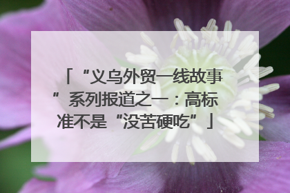 “义乌外贸一线故事”系列报道之一：高标准不是“没苦硬吃”
