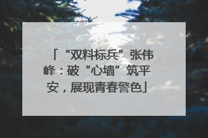 “双料标兵”张伟峰：破“心墙”筑平安，展现青春警色