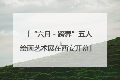 “六月 - 跨界”五人绘画艺术展在西安开幕