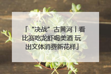 “决战”古黄河丨看比赛吃龙虾喝美酒 玩出文体消费新花样