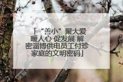 “善小”聚大爱 暖人心 促发展 解密淄博供电员工付珍家庭的文明密码