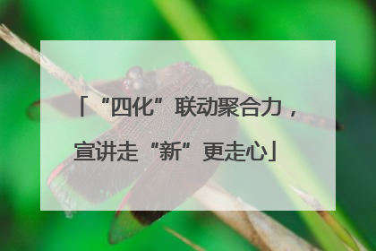 “四化”联动聚合力，宣讲走“新”更走心