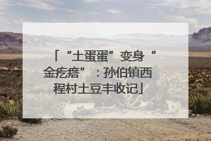 “土蛋蛋”变身“金疙瘩”：孙伯镇西程村土豆丰收记
