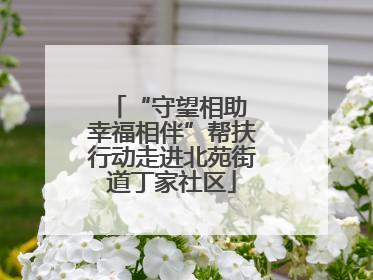 “守望相助 幸福相伴”帮扶行动走进北苑街道丁家社区