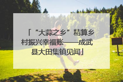 “大蒜之乡”精算乡村振兴幸福账——成武县大田集镇见闻