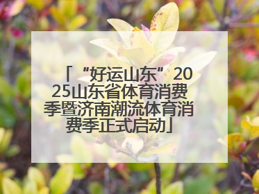 “好运山东”2025山东省体育消费季暨济南潮流体育消费季正式启动