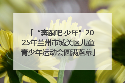“奔跑吧·少年”2025年兰州市城关区儿童青少年运动会圆满落幕