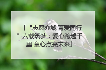 “志愿亦城·青爱同行”六载筑梦：爱心跨越千里 童心点亮未来