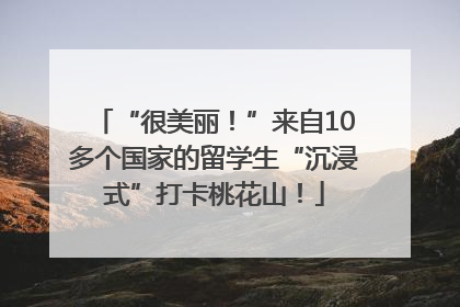 “很美丽！”来自10多个国家的留学生“沉浸式”打卡桃花山！