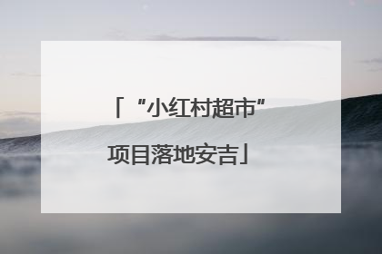 “小红村超市”项目落地安吉