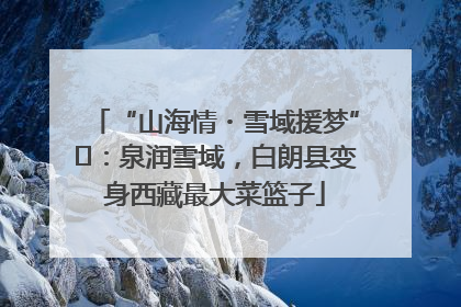 “山海情・雪域援梦”⑪：泉润雪域，白朗县变身西藏最大菜篮子