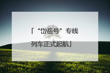 “岱岳号”专线列车正式起航