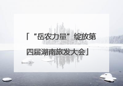 “岳农力量”绽放第四届湖南旅发大会