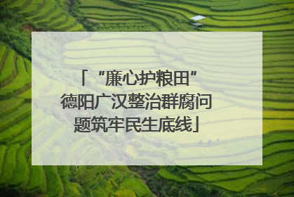 “廉心护粮田” 德阳广汉整治群腐问题筑牢民生底线