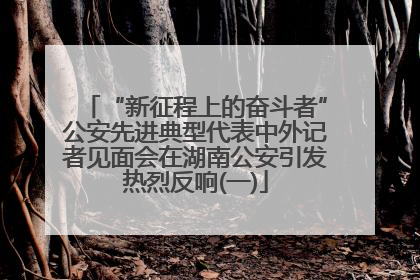 “新征程上的奋斗者”公安先进典型代表中外记者见面会在湖南公安引发热烈反响(一)