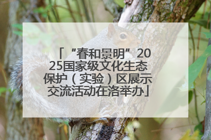 “春和景明”2025国家级文化生态保护（实验）区展示交流活动在洛举办