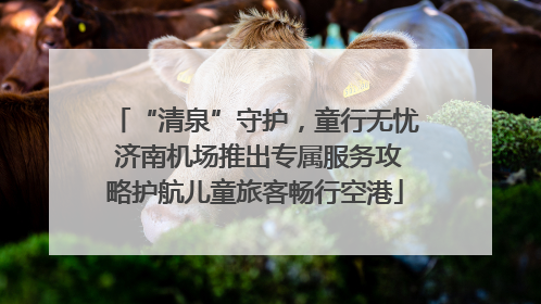 “清泉”守护，童行无忧 济南机场推出专属服务攻略护航儿童旅客畅行空港