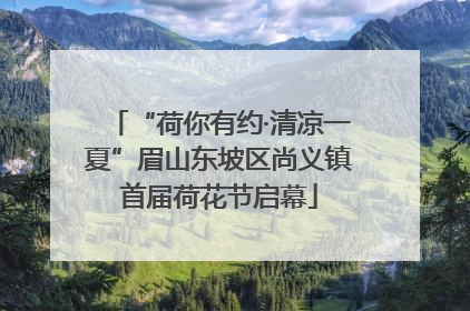 “荷你有约·清凉一夏”眉山东坡区尚义镇首届荷花节启幕