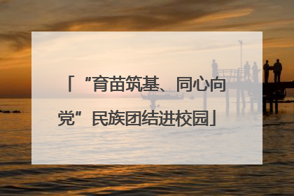 “育苗筑基、同心向党”民族团结进校园