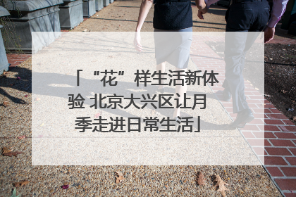 “花”样生活新体验 北京大兴区让月季走进日常生活