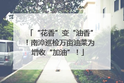 “花香”变“油香”！南漳巡检万亩油菜为增收“加油”！