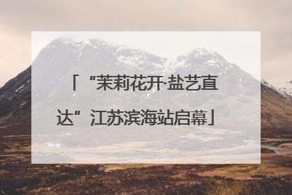 “茉莉花开·盐艺直达”江苏滨海站启幕