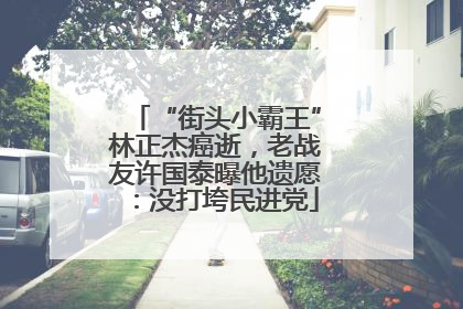 “街头小霸王”林正杰癌逝，老战友许国泰曝他遗愿：没打垮民进党