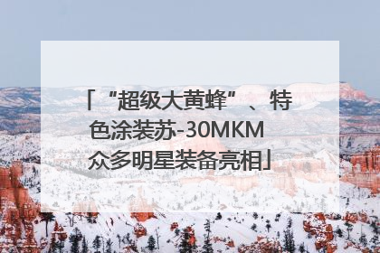 “超级大黄蜂”、特色涂装苏-30MKM 众多明星装备亮相