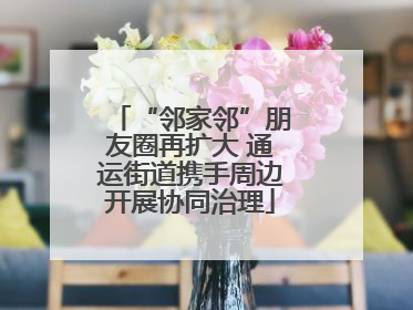 “邻家邻”朋友圈再扩大 通运街道携手周边开展协同治理