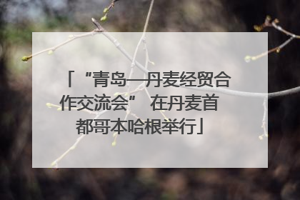 “青岛—丹麦经贸合作交流会” 在丹麦首都哥本哈根举行